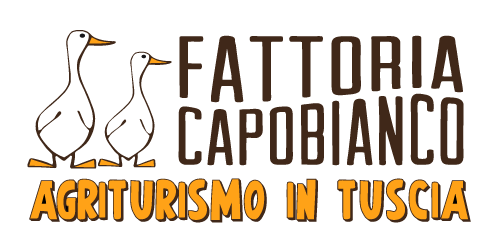 Agriturismo Bolsena Lake - Fattoria Capobianco a Montefiascone